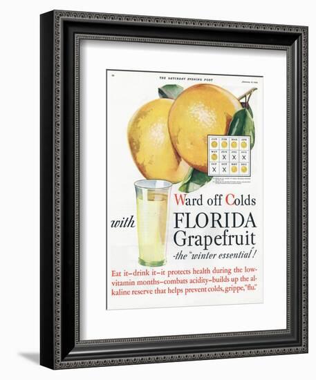 Florida Grapefruit, Colds Flu Fruit, USA, 1920-null-Framed Giclee Print