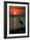 Florida - Heron and Sunset-Lantern Press-Framed Art Print