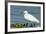 Florida, Immokalee, Snowy Egret Hunting-Bernard Friel-Framed Photographic Print