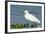 Florida, Immokalee, Snowy Egret Hunting-Bernard Friel-Framed Photographic Print