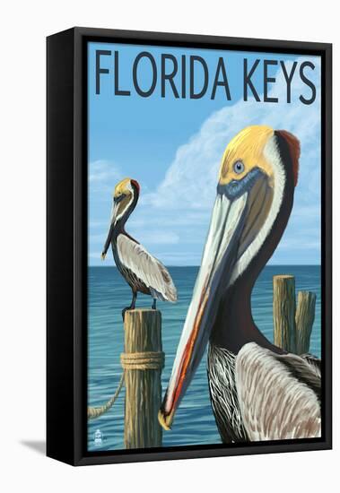 Florida Keys, Florida - Brown Pelican-Lantern Press-Framed Stretched Canvas