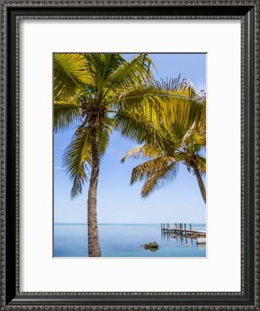 Florida Keys Lovely Oceanside Art Print Melanie Viola Art Com