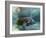 Florida Manatee, Crystal River, Florida, Usa-Rebecca Jackrel-Framed Photographic Print