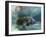 Florida Manatee, Crystal River, Florida, Usa-Rebecca Jackrel-Framed Photographic Print