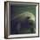 Florida Manatee-Nina Leen-Framed Photographic Print