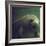 Florida Manatee-Nina Leen-Framed Photographic Print