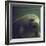 Florida Manatee-Nina Leen-Framed Photographic Print