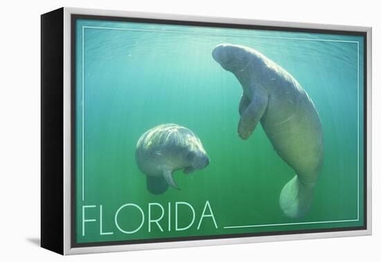 Florida - Manatees Underwater-Lantern Press-Framed Stretched Canvas