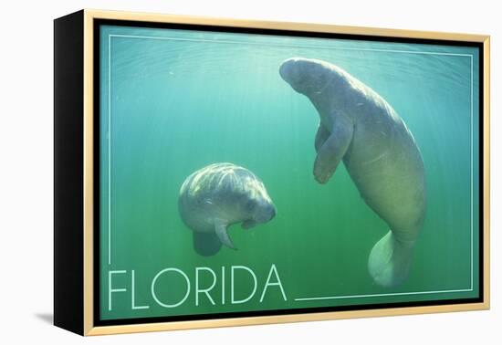 Florida - Manatees Underwater-Lantern Press-Framed Stretched Canvas