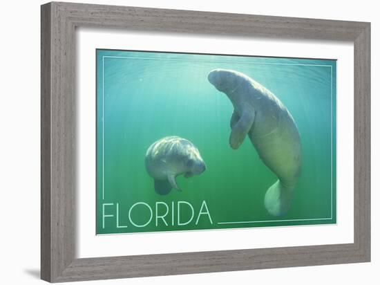 Florida - Manatees Underwater-Lantern Press-Framed Art Print