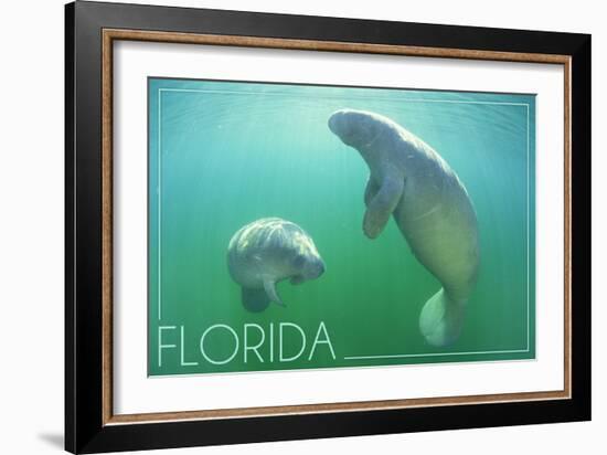 Florida - Manatees Underwater-Lantern Press-Framed Art Print