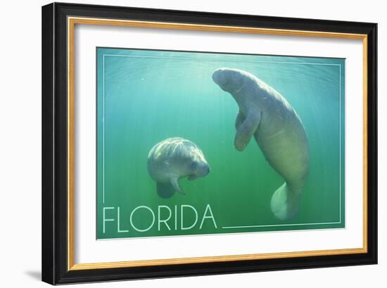 Florida - Manatees Underwater-Lantern Press-Framed Art Print