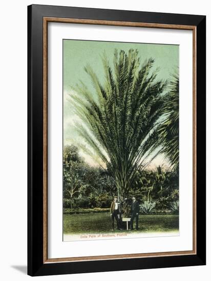 Florida - Men Standing by Huge Date Palm-Lantern Press-Framed Art Print