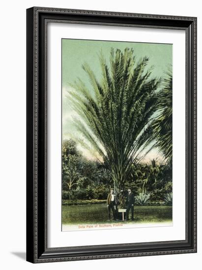 Florida - Men Standing by Huge Date Palm-Lantern Press-Framed Art Print