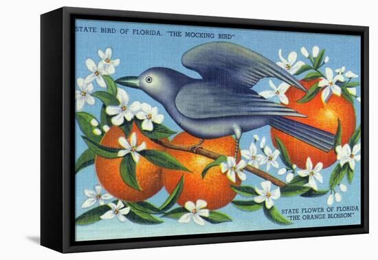 Florida - Mockingbird and Orange Blossoms, State Bird and Flower-Lantern Press-Framed Stretched Canvas