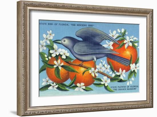 Florida - Mockingbird and Orange Blossoms, State Bird and Flower-Lantern Press-Framed Art Print