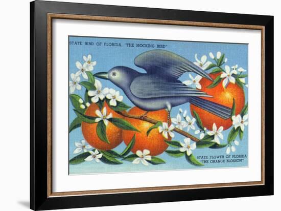 Florida - Mockingbird and Orange Blossoms, State Bird and Flower-Lantern Press-Framed Art Print