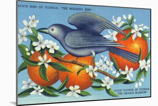 Florida - Mockingbird and Orange Blossoms, State Bird and Flower-Lantern Press-Mounted Art Print