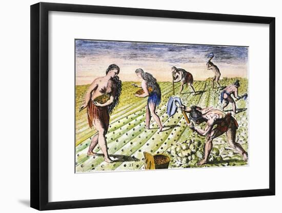 Florida Native Americans:Tilling 1591-Theodor de Bry-Framed Giclee Print