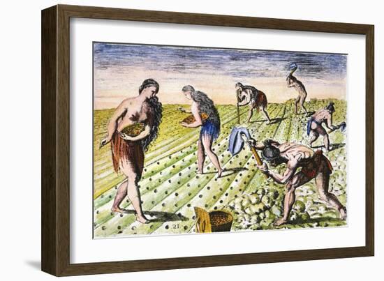 Florida Native Americans:Tilling 1591-Theodor de Bry-Framed Giclee Print