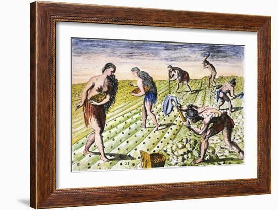 Florida Native Americans:Tilling 1591-Theodor de Bry-Framed Giclee Print