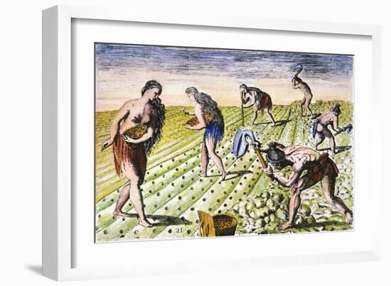 Florida Native Americans:Tilling 1591-Theodor de Bry-Framed Giclee Print