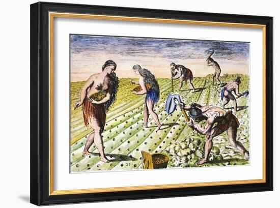 Florida Native Americans:Tilling 1591-Theodor de Bry-Framed Giclee Print