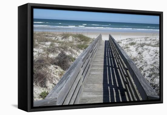 Florida, New Smyrna Beach, Smyrna Dunes Park, Boardwalk-Lisa S. Engelbrecht-Framed Premier Image Canvas