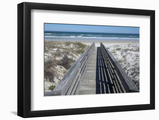 Florida, New Smyrna Beach, Smyrna Dunes Park, Boardwalk-Lisa S. Engelbrecht-Framed Photographic Print