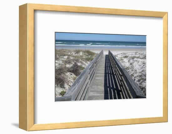 Florida, New Smyrna Beach, Smyrna Dunes Park, Boardwalk-Lisa S. Engelbrecht-Framed Photographic Print