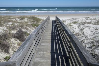Florida New Smyrna Beach Smyrna Dunes Park Boardwalk Photographic Print Lisa S Engelbrecht Art Com
