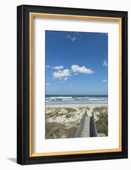 Florida, New Smyrna Beach-Jim Engelbrecht-Framed Photographic Print