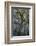Florida, Oak Draped with Spanish Moss and Other Tropical Vegetation-Judith Zimmerman-Framed Photographic Print