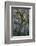 Florida, Oak Draped with Spanish Moss and Other Tropical Vegetation-Judith Zimmerman-Framed Photographic Print