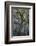 Florida, Oak Draped with Spanish Moss and Other Tropical Vegetation-Judith Zimmerman-Framed Photographic Print