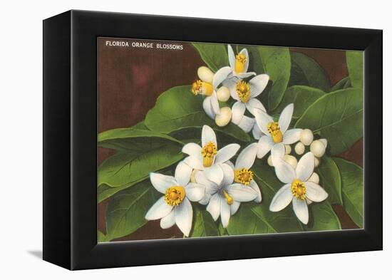 Florida Orange Blossoms-null-Framed Stretched Canvas