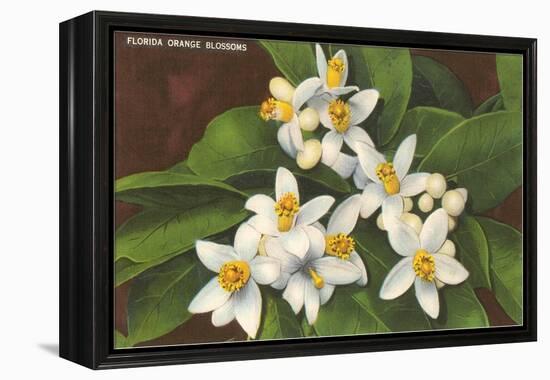 Florida Orange Blossoms-null-Framed Stretched Canvas