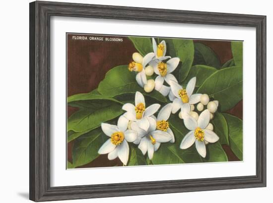 Florida Orange Blossoms-null-Framed Art Print