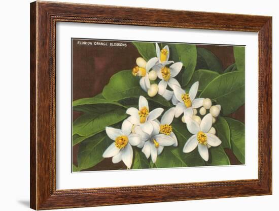 Florida Orange Blossoms-null-Framed Art Print