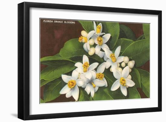 Florida Orange Blossoms-null-Framed Art Print