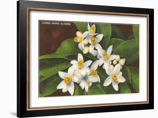 Florida Orange Blossoms-null-Framed Art Print