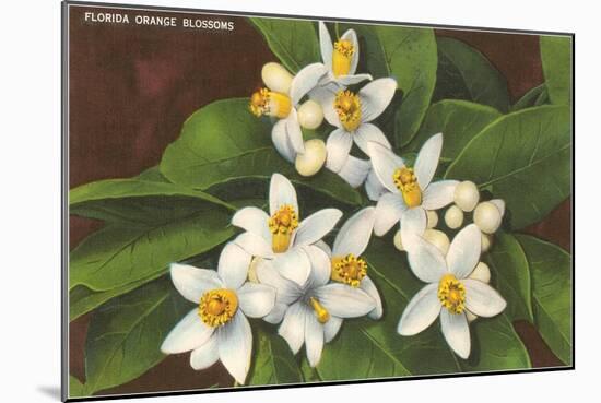 Florida Orange Blossoms-null-Mounted Art Print