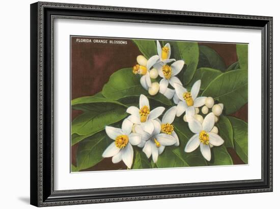 Florida Orange Blossoms-null-Framed Art Print