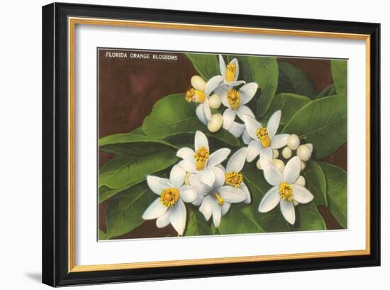 Florida Orange Blossoms-null-Framed Art Print