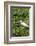 Florida, Orange City, St. John River, Egret-Jim Engelbrecht-Framed Photographic Print