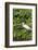 Florida, Orange City, St. John River, Egret-Jim Engelbrecht-Framed Photographic Print