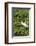 Florida, Orange City, St. John River, Egret-Jim Engelbrecht-Framed Photographic Print