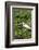 Florida, Orange City, St. John River, Egret-Jim Engelbrecht-Framed Photographic Print