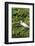 Florida, Orange City, St. John River, Egret-Jim Engelbrecht-Framed Photographic Print