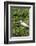 Florida, Orange City, St. John River, Egret-Jim Engelbrecht-Framed Photographic Print